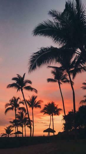 Ig Click Here To Summer Wallpaper