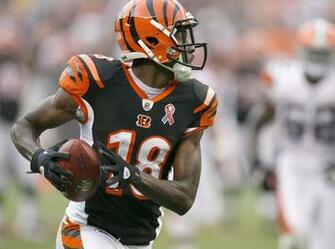 Computer Aj Green Wallpaper Ololoshenka