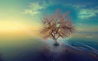 Golden Dream Desktop Pc And Mac Wallpaper