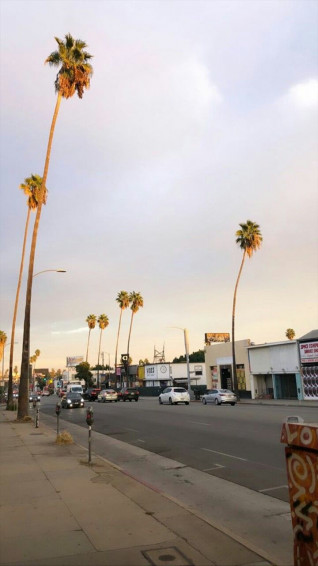 La California Aesthetic Wallpaper For Mobile