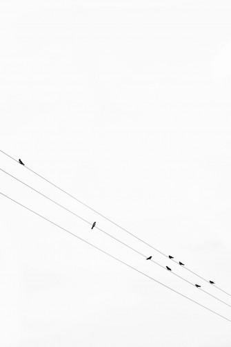 Handcrafted In Virginia Minimalist Photography Black Wallpaper