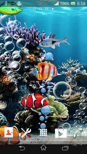 Of Wallpaper Sea Constantly Effervescent Tropical Fish Swimming