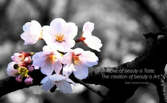 Beauty Prev Wallpaper Widescreen Taste Resolution