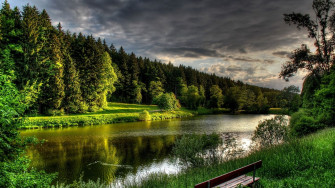Wallpaper River Summer Bench Trees