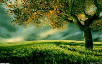 Green Field Uploader Anonymous Licence Category Nature Tags