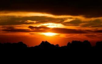 Dark Sunset Amp Forest Desktop Pc And Mac Wallpaper