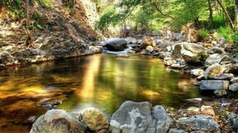 Nature HD Wallpaper Love Taste