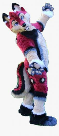 Bookerfox Furries Fursuit Fursona Furry Furryfandom