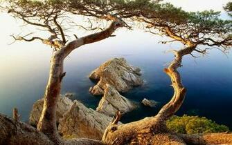 Windows Wallpaper Beautiful Landscape HD Desktop