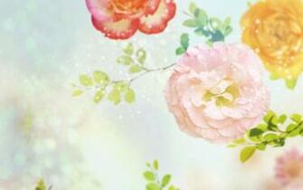 Related Wallpaper Flowers Flower Art Crazy Carnation