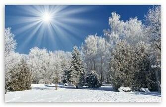 Which Would Describe You Best Weather Temperature Sun Sunlight
