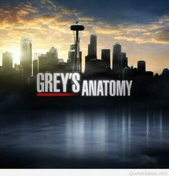 Tag Archives Cute Grey S Anatomy Greys Wallpaper HD