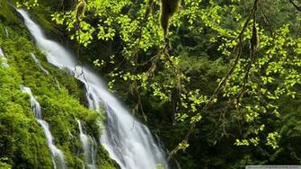Mountain Waterfall Wallpaper