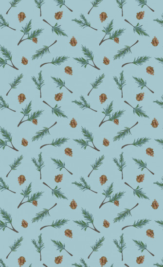 Pine Cone On Light Blue Wallpaper Cute Winter Aesthetic
