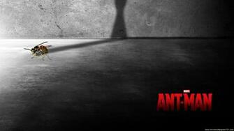 Ant Man Film Poster HD Wallpaper Stylish