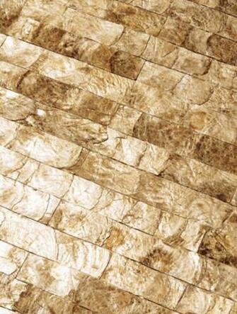 Maya Romanoff Mother Of Pearl Wall Tiles Wallpaper