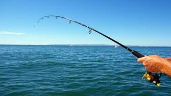 Sea Fishing HD Desktop Wallpaper Of