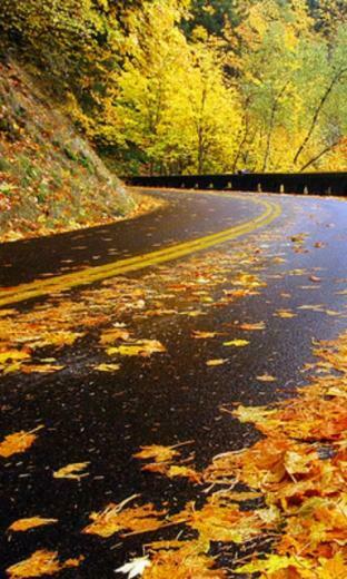 Nokia Lumia High Definition Wallpaper Background Jpg