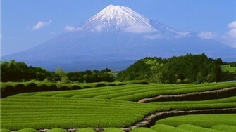 Nature Japan Wallpaper Pictures In High Definition Or
