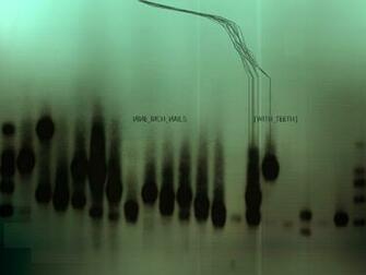 Nine Inch Nails Wallpaper