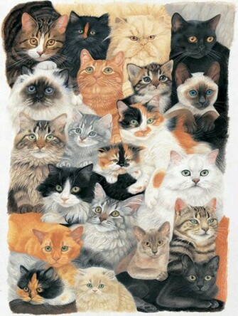Cat Collage Wallpaper HD Background Desktop