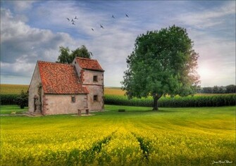 The Oak Wallpaper HD