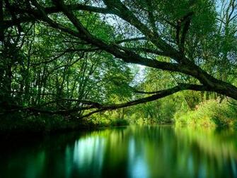 Nature Wallpaper X Full HD Desktop Collection