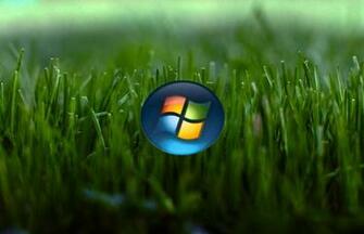 Windows Grass Wallpaper By Steffono6