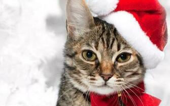 As Desktop Background Wallpaper Holidays New Year