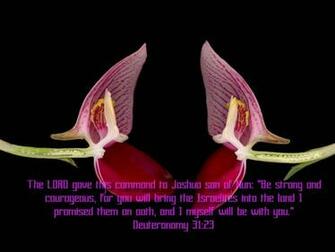 Strong And Courageous Wallpaper Christian Background