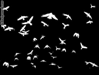 Flyleaf Background Myspace