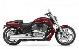 Harley Davidson Vrscf V Rod Muscle Picture
