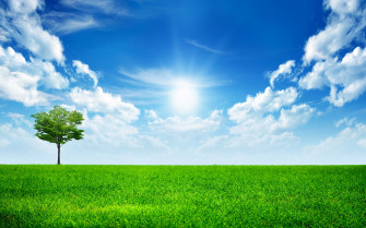 Beautiful High Definition Wallpaper