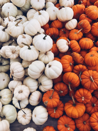 Cute Fall Aesthetic Wallpaper