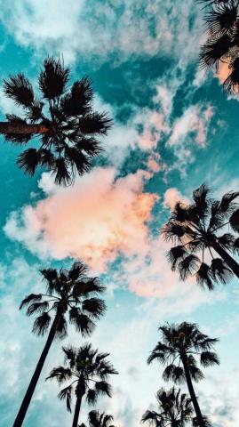 Naturephotography Nature Photography Summer Wallpaper Sunset