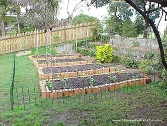 Gardening The Vegetable Patch Wallpaper