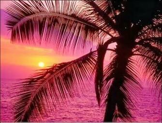 Awesome Girly Wallpaper Mobile