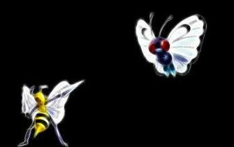 Beedrill Pok Mon HD Wallpaper Background