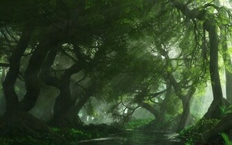 Green Forest Wallpaper