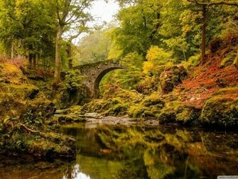 Autumn Time Pictures Collection Mobogenie