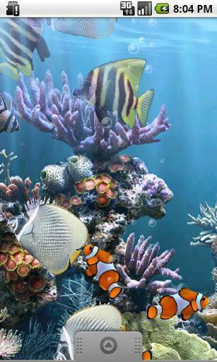 The Real Aquarium Is An Amazing Live Wallpaper Of Caribbean