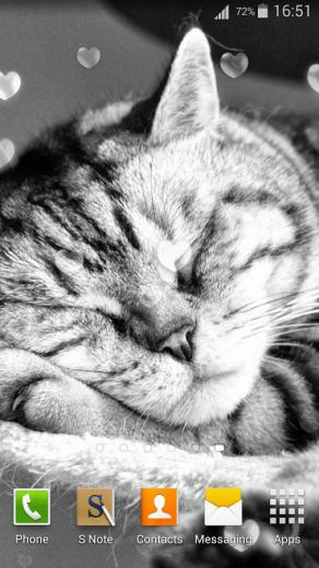 Cute Cats Live Wallpaper Apk Personalization App For