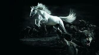 Horse Wolf Wallpaper HD White