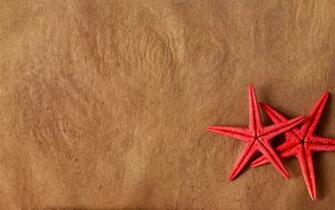Starfish Wallpaper HD Pulse