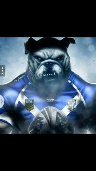 Best Nrl Bulldogs Ideas Canterbury