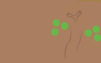 Sudowoodo Pok Mon HD Wallpaper Background