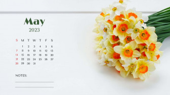 May Calendar Wallpaper