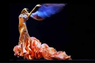 Flamenco Wallpaper