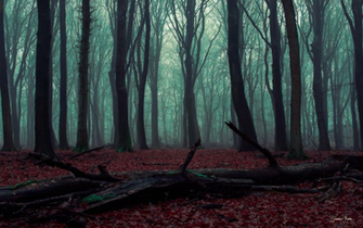 Year Archive Five Sentence Suspense Challenge