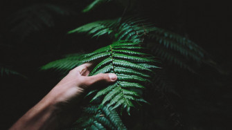 Why You Should Tell Your Team To Take A Break And Go Outside